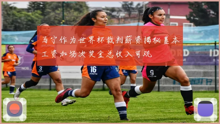 马宁作为世界杯裁判薪资揭秘基本工资加场次奖金总收入可观